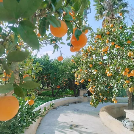 Casa Aranci דירה מרסאלה